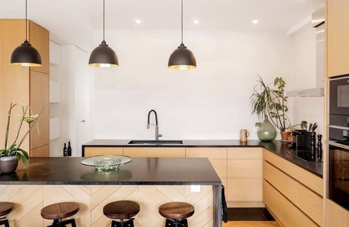 Quartier de la Monnaie Apartment | A 170² masterpiece of Historical Grandeur with Private Rooftop -Odéon St Germain