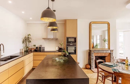 Quartier de la Monnaie Apartment | A 170² masterpiece of Historical Grandeur with Private Rooftop -Odéon St Germain