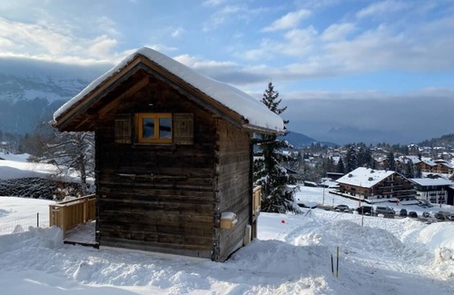Les Carroz-d'Araches Ski Chalet | A 50 m des Pistes, Joli Mazot de Bois Traditionnel, Belles Prestations