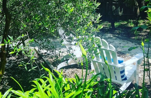 Margaret River Apartment | A Break Away 2 ~ Walk to Town, Forest and River!