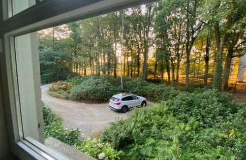 Wuustwezel House | A Calm & Quiet Stay