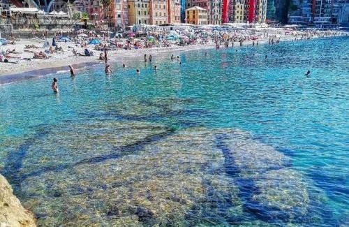 Sori Apartment | A due passi dal Mare - Il Faro sul Mare