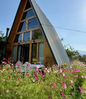 Bagvdanari Apartment | A-frame mestia