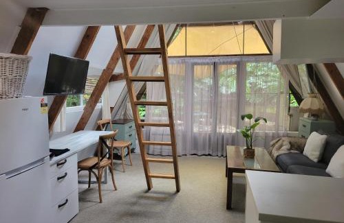 Parnell Ski Chalet | A-frame Studio in Parnell
