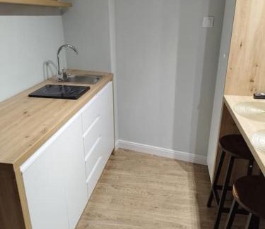 Iasi Apartment | A G Studio's Palas-Iasi