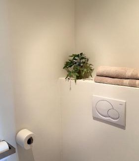 Rijsenbergwijk Apartment | A joyful place