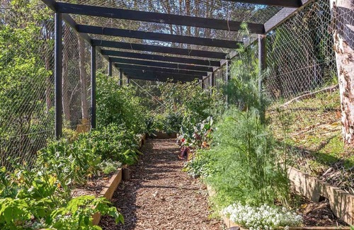Byron Bay Cabin | A PERFECT STAY - Ourmuli Cabin