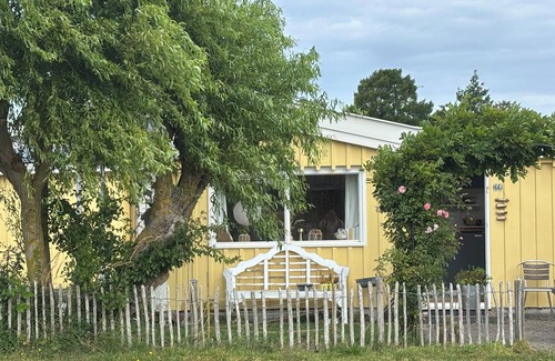 Egmond aan Zee Ski Chalet | A place on the dunes, where the sun always shines, 10 minutes from the beach!