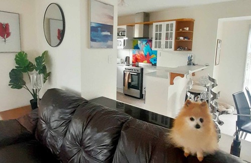 Newlands House | A place to stay in a home with the Host, bring your pets along.