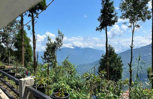 Lebong and Mineral Spring Tea Garden Apartment | A Quiet Nest Cottage