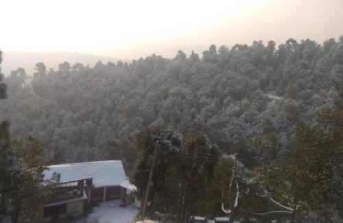 Shimla House | A.R . Homestay