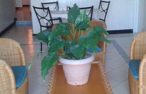 Atlantic Shores Apartment | A relaxing and breezy patio and private apartment. It has the amenities needed.