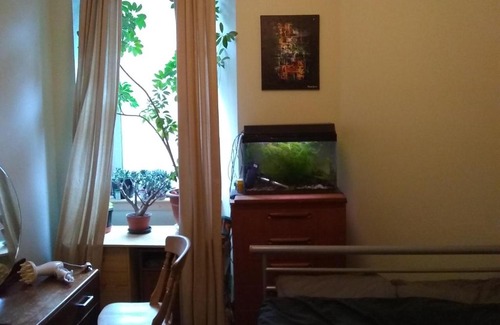 Gorgie Apartment | A small flat close to City Centre; one double-bedroom.