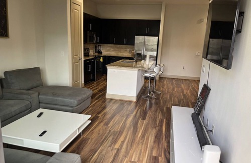 Houston Apartment | A wonderful and cozy apartment