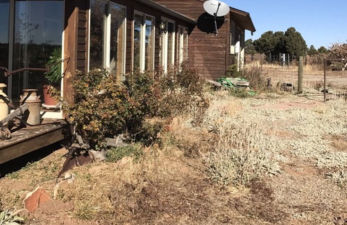 Lewis Other | A Working Alpaca Ranch Near Dolores