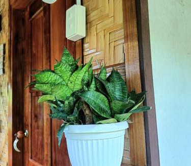 San Vicente House | A. Zaragosa Lodging House