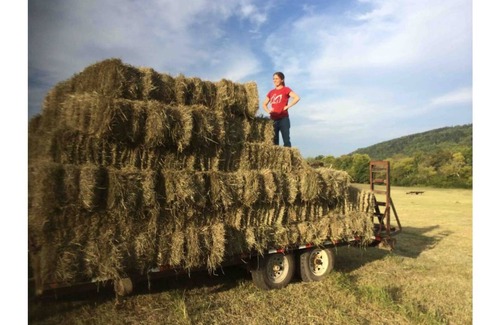 Ooltewah House | A2–Avion 2 at Hidden Hills Farm & Saddle Club