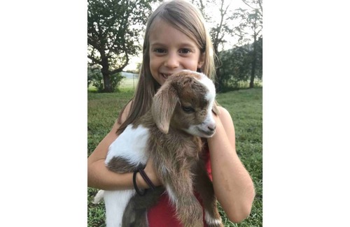 Ooltewah House | A2–Avion 2 at Hidden Hills Farm & Saddle Club