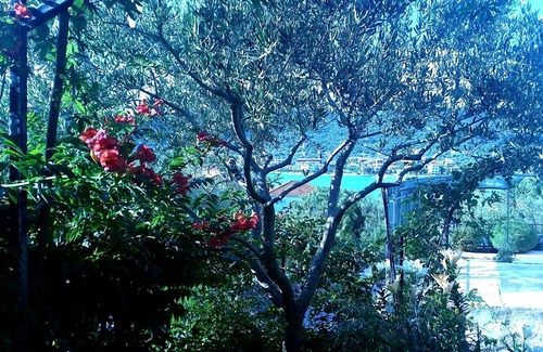 Vinisce Apartment | A2 modern apartment with garden, 80m from beach
