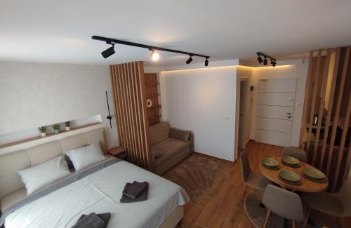 Veliko Gradiste Apartment | A2 Silver