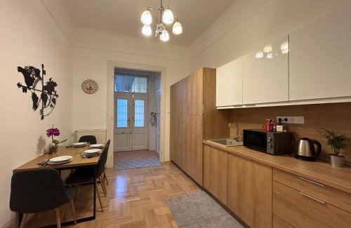 Erzsebetvaros Apartment | A20 Central Apartment