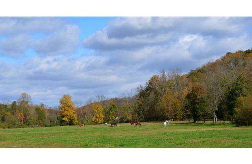 Ooltewah House | A3–Airstream 3 at Hidden Hills Farm & Saddle Club