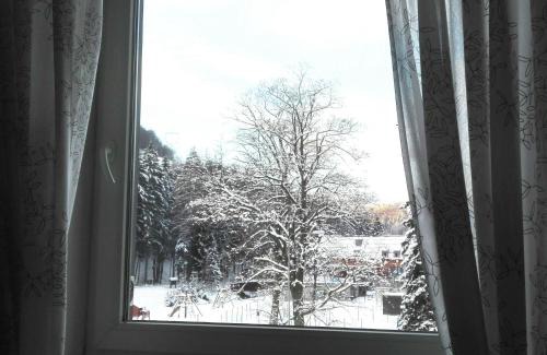 Loucna nad Desnou Apartment | a34