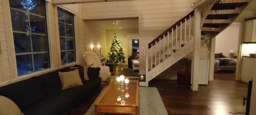 Syote Villa | Aada Villa by the slopes