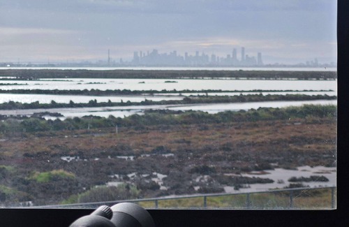 Point Cook House | Absolutely Stunning - Bayside Point Cook 5BR Home