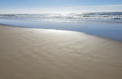 Waldport Apartment | Access to the Best Beach on the Oregon Coast