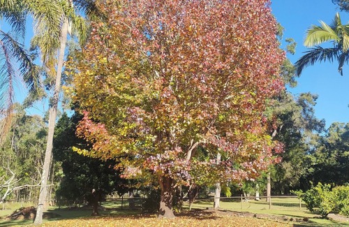 Greenbank House | Acreage Guest House set on 1 1/2 Acres