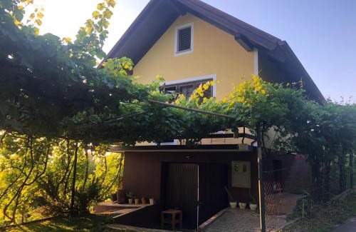 Videm Apartment | Adorable guesthouse in the middle of vineyards