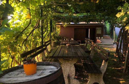 Videm Apartment | Adorable guesthouse in the middle of vineyards