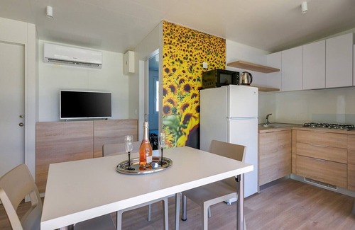 Karigador House | Adriamar Mobile Homes in Camping Park Umag /Adriamar 2432 Park Umag