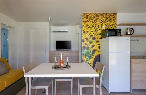 Karigador House | Adriamar Mobile Homes in Camping Park Umag /Adriamar 2432 Park Umag