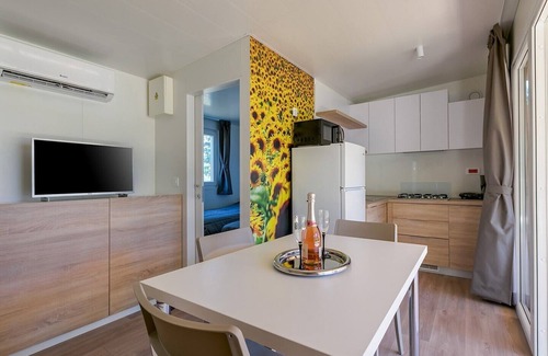 Karigador House | Adriamar Mobile Homes in Camping Park Umag /Adriamar 2439 Park Umag
