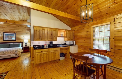 Northport Apartment | Adventure ready studio cabin with wooded views, fireplace, & AC