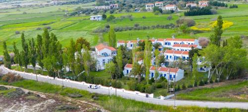 Skala Kallonis Hotel | AEGEON