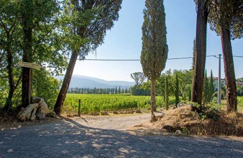 Arezzo Apartment | Agriturismo Albergotti