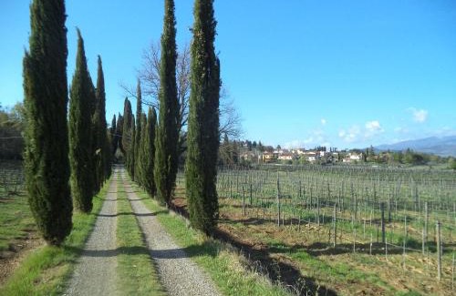 Arezzo Apartment | Agriturismo Albergotti