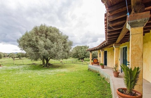 Dorgali House | Agriturismo Biriddo