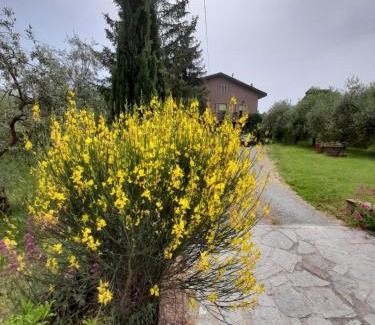 Chianciano Terme House | Agriturismo Campo Contile