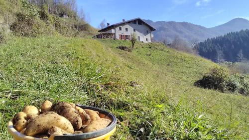 Cremeno House | Agriturismo Cascina Cornella