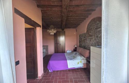 Castagneto Carducci House | Agriturismo Colle Donatucci