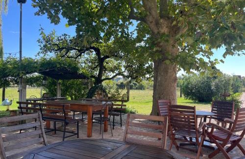 Pescantina Apartment | Agriturismo Corte Bonetti - Appartamento Il Salice