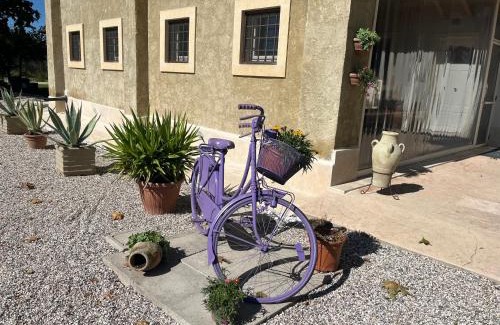 Pescantina Apartment | Agriturismo Corte Bonetti - Appartamento Il Salice