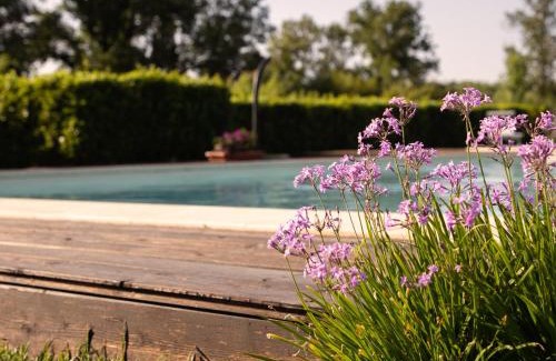 Magliano in Toscana House | Agriturismo I Tre Fossi