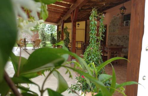 Roccastrada House | Agriturismo Il Selvello