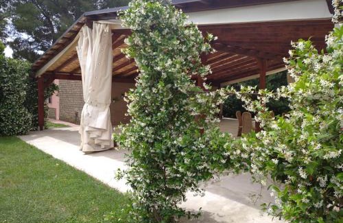 Roccastrada House | Agriturismo Il Selvello