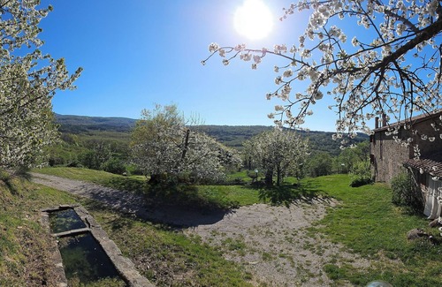 Vivo dʼOrcia Apartment | - Agriturismo La Piaggia - Forest View Apartment on the Ground Floor 2 Guests